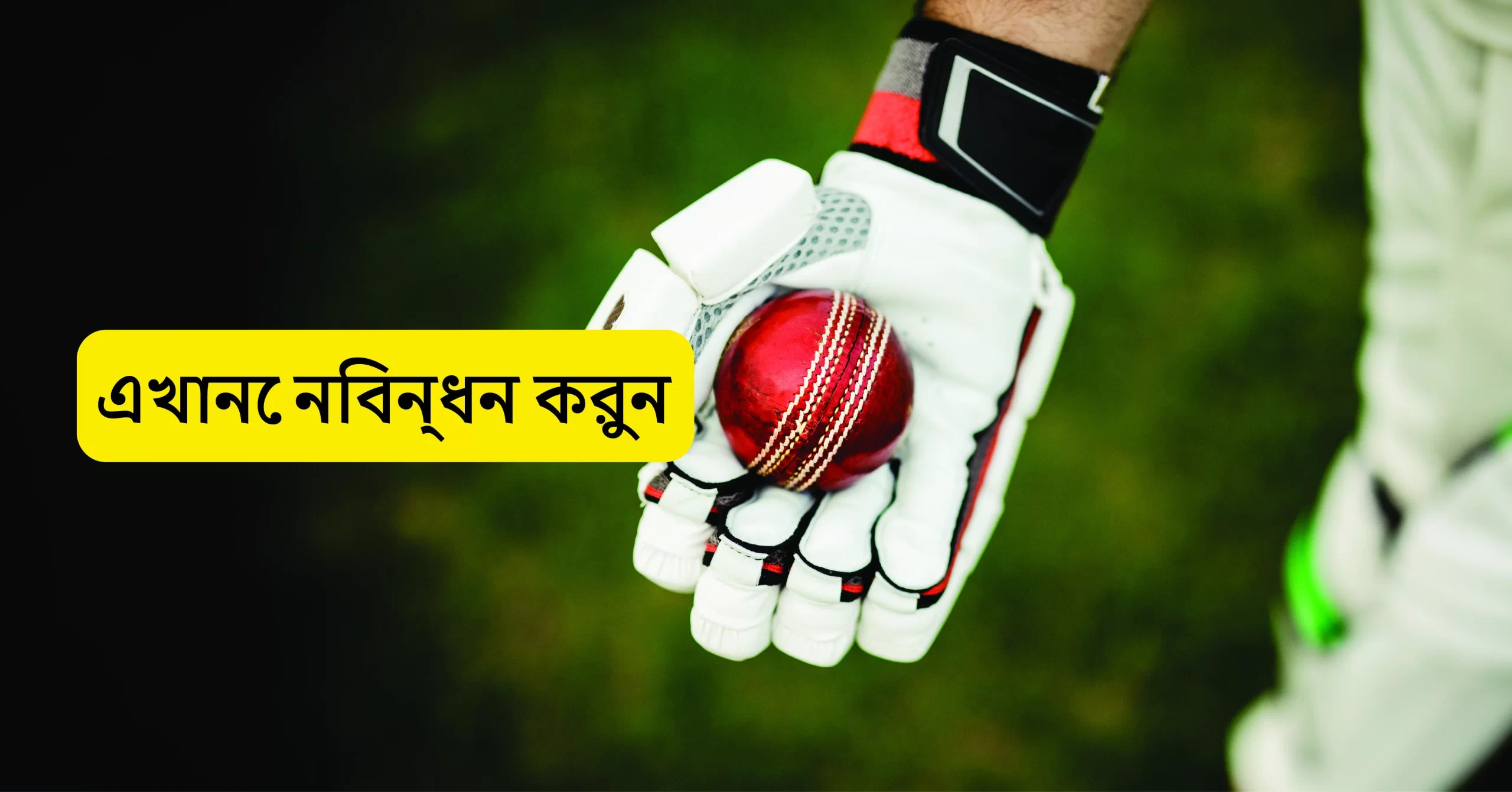 cricket